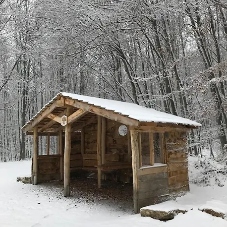 Ferienwohnung Auszeit Am Kurpark Bad Berka - Balkon - Ruhige Lage- Gratis Parkplatz & Wlan Exterior photo