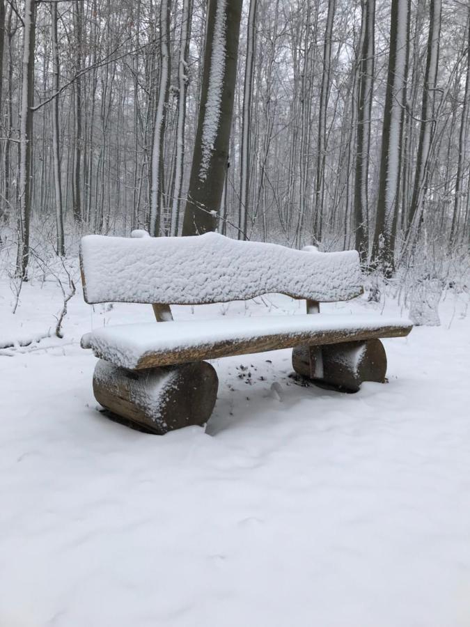 Auszeit Am Kurpark - Balkon - Ruhige Lage- Gratis Parkplatz & Wlan